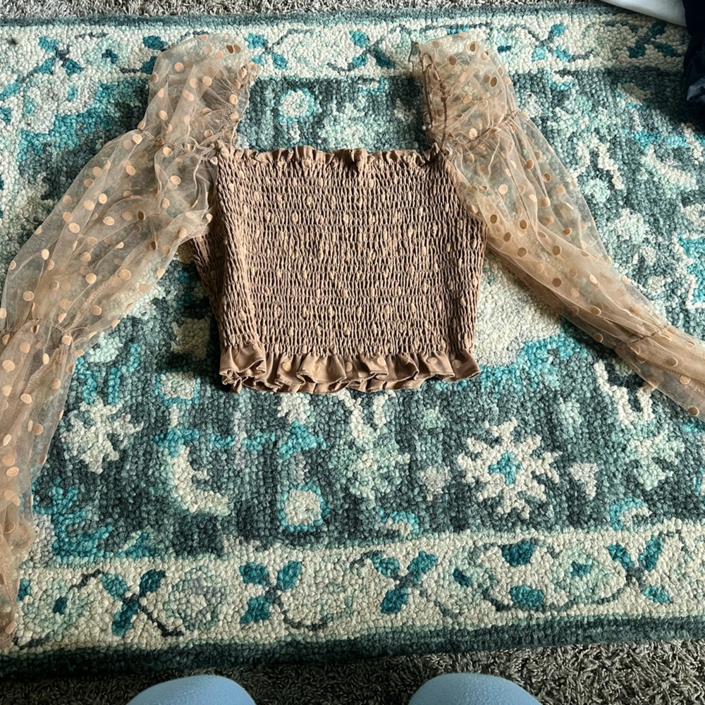 Polka Dot Mesh Poofy Sleeve brown top